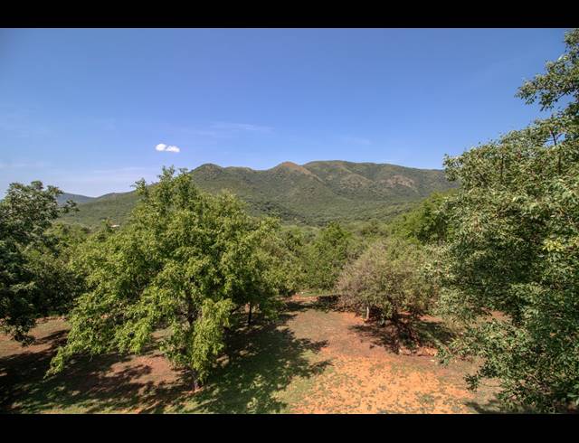 10,000M² VACANT LAND FOR SALE IN GREENSTONE WILDLIFE ESTATE